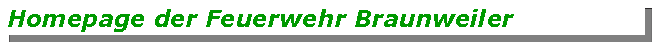 Textfeld: Homepage der Feuerwehr Braunweiler